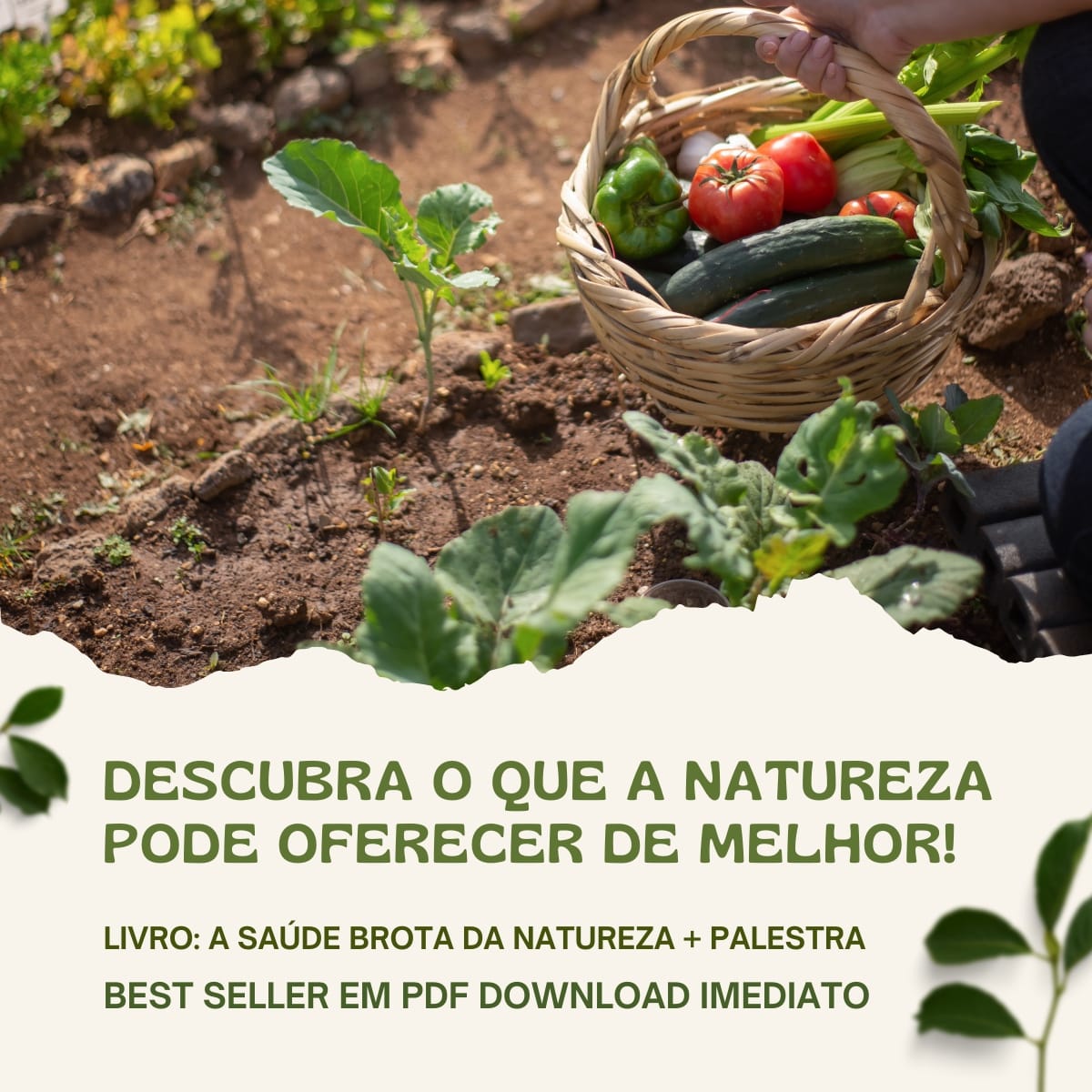 A Saúde Brota Da Natureza - Jaime Bruning - Livro PDF Download Comprar